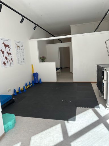 Heller Raum mit Matten, Trainingsgeräten und einer Wand mit tierischen Abbildungen.